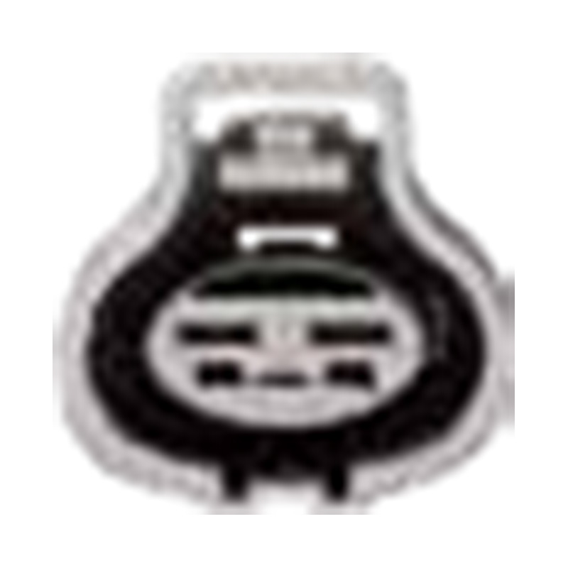 Hangzhou Golden Sun Autoparts Co., Ltd.