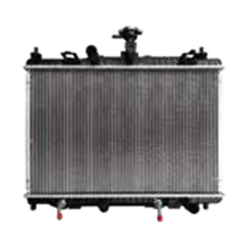 CHANA M2/FIESTA 16mm-AT 2009 RAE030-1